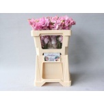 Lathyrus Lillhernes Parfum Pink 50cm
