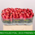 Roos 50cm Helene