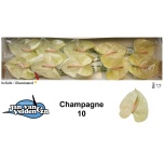 Anthurium Flamingolill Champagne