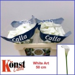 Zantedeschia Kalla White Art 50cm