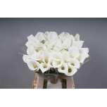 Zantedeschia Kalla White Art 60cm