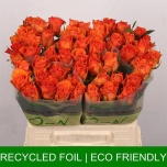 Roos 40cm Orange Wave