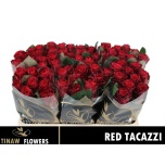 Roos 50cm Red Tacazzi (Tinaw Flower)