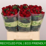 Roos 60cm Red Tacazzi