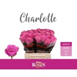 Roos 40cm Charlotte