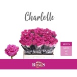 Roos 50cm Charlotte