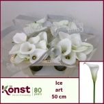 Zantedeschia Kalla Ice Art 50cm