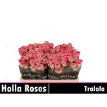 Kobarroos 50cm Tralala