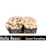 Kobarroos 50cm Sweet Porcelina