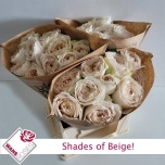 Roos 40cm Shades of Beige