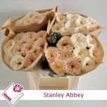 Roos 40cm Stanley Abbey