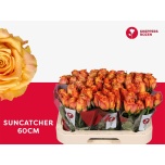 Roos 60cm Suncatcher
