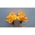 Zantedeschia Kalla Solero Art 60cm