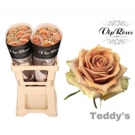 Roos 50cm Teddys