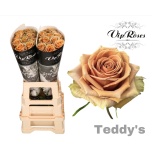 Roos 70cm Teddys