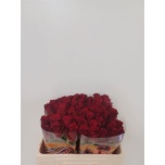 Roos 50cm Royal Class
