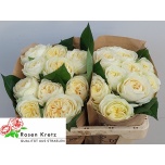 Roos 50cm Wedding Chapel