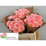 Roos 40cm Mayfield