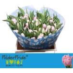 Tulp do Hashtag
