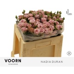 Kobarroos 50cm Nadia Duran