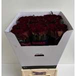 Roos 80cm Dark Night