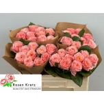 Roos 50cm Elena