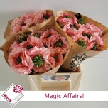 Roos 40cm Magic Affairs