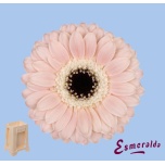 Gerbera MINI Cheesecake*20