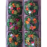 Sierfruit Krans Pärg MIX 30cm
