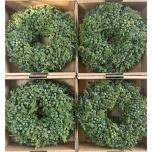 Sierfruit Krans Pärg Green 30cm