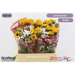 Bouquet ov
