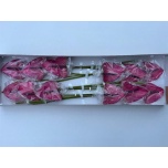Anthurium Flamingolill Cassis