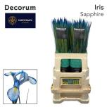 Iris Iiris paint