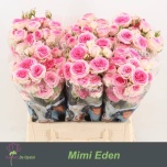 Kobarroos 40cm Mimi Eden