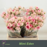 Kobarroos 40cm Mimi Eden