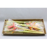 Heliconia Bihai 90cm