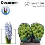 Hyacinthus Hüatsint Sky Jacket