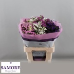 Limonium Parkjuur Rainbow (mixbunch) 60cm