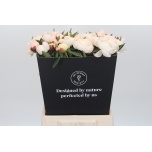 Paeonia Pojeng Madame Claude Tain 50cm