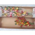 Sierpepers Tak 55cm