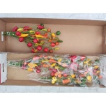 Capsicum Paprika MIX 55cm