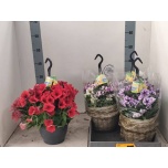 Petunia surfi m mixed trolley 21cm