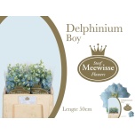 Delphinium Kukkekannus Dewi Boy 50cm