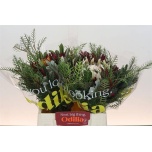 Protea Prootea bouquet 45cm