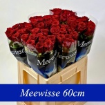 Roos 60cm Red Naomi