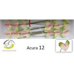 Anthurium Flamingolill Acura