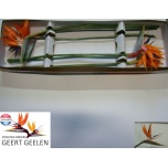 Strelitzia flower Paradiisilinnulill 70-75cm