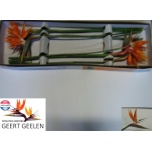 Strelitzia flower Paradiisilinnulill 75cm
