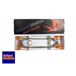 Strelitzia flower Paradiisilinnulill 80-85cm