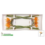 Strelitzia Paradiisilinnulill 85cm